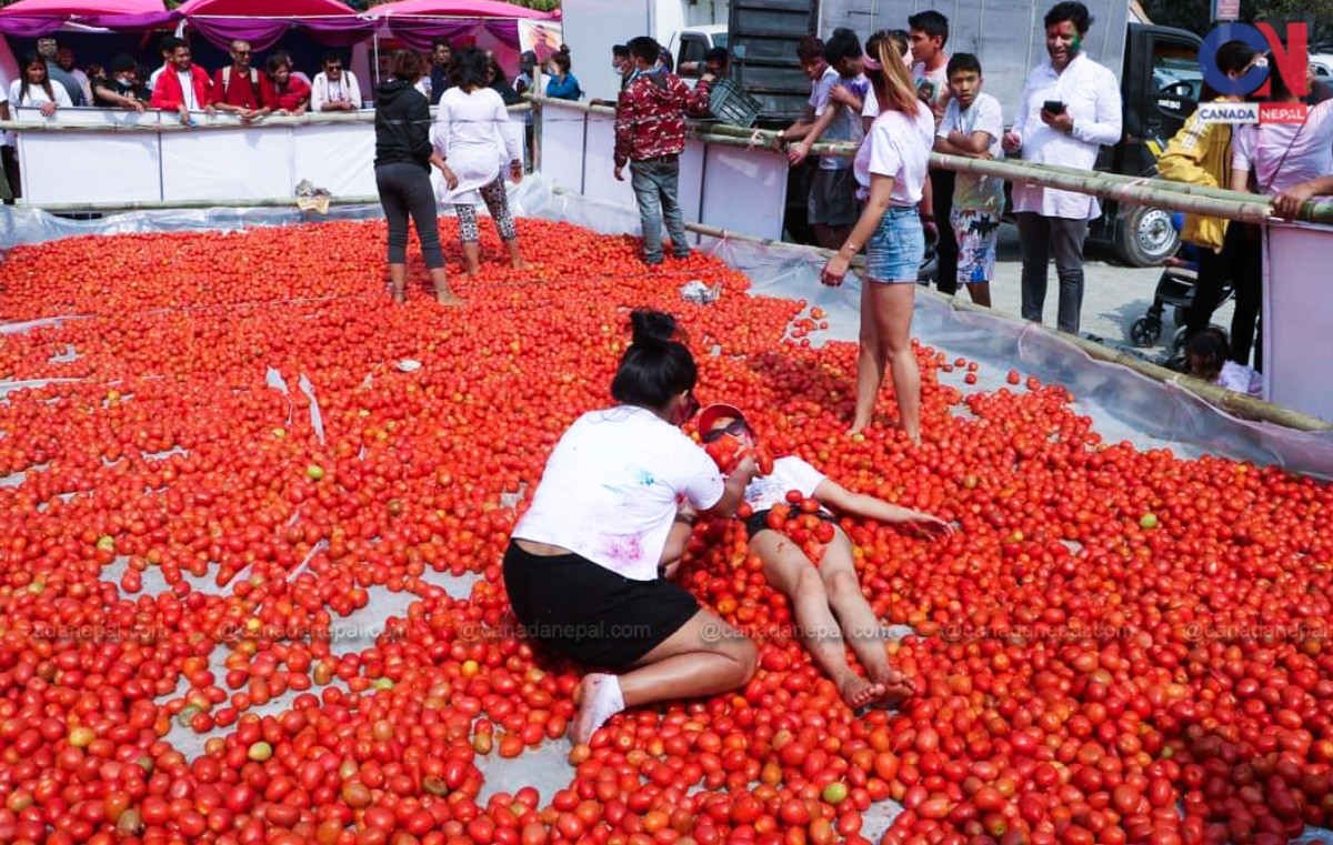 la tomatina31678105171.jpg